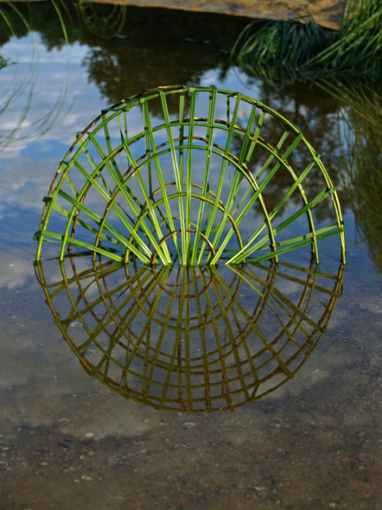 Spectacular Geometric Forms Find Balance in Nature