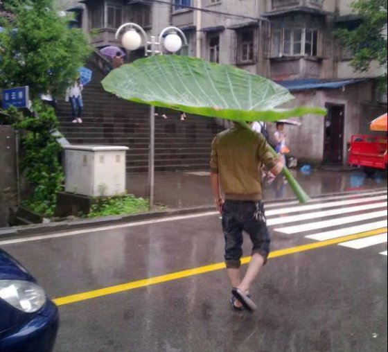 აი ქოლგა